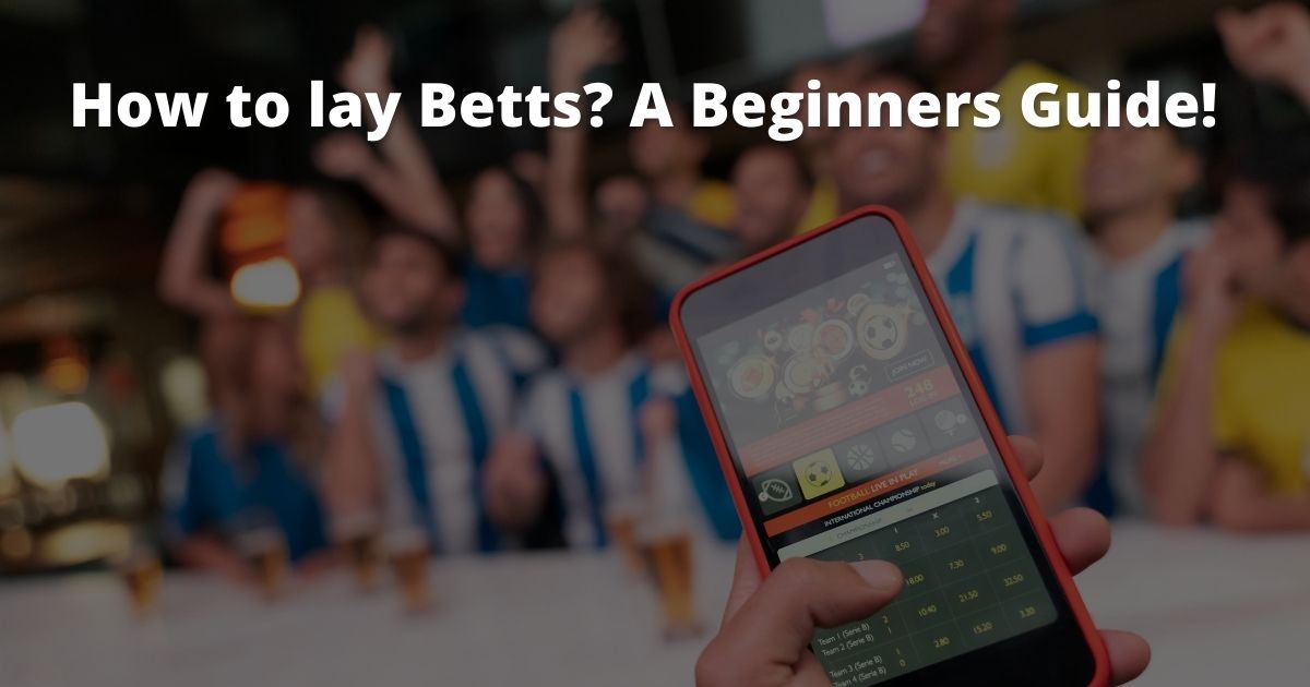 How to lay Betts? A Beginners Guide!