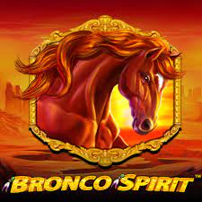 Bronco Spirit