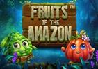 Fruits of the Amazon